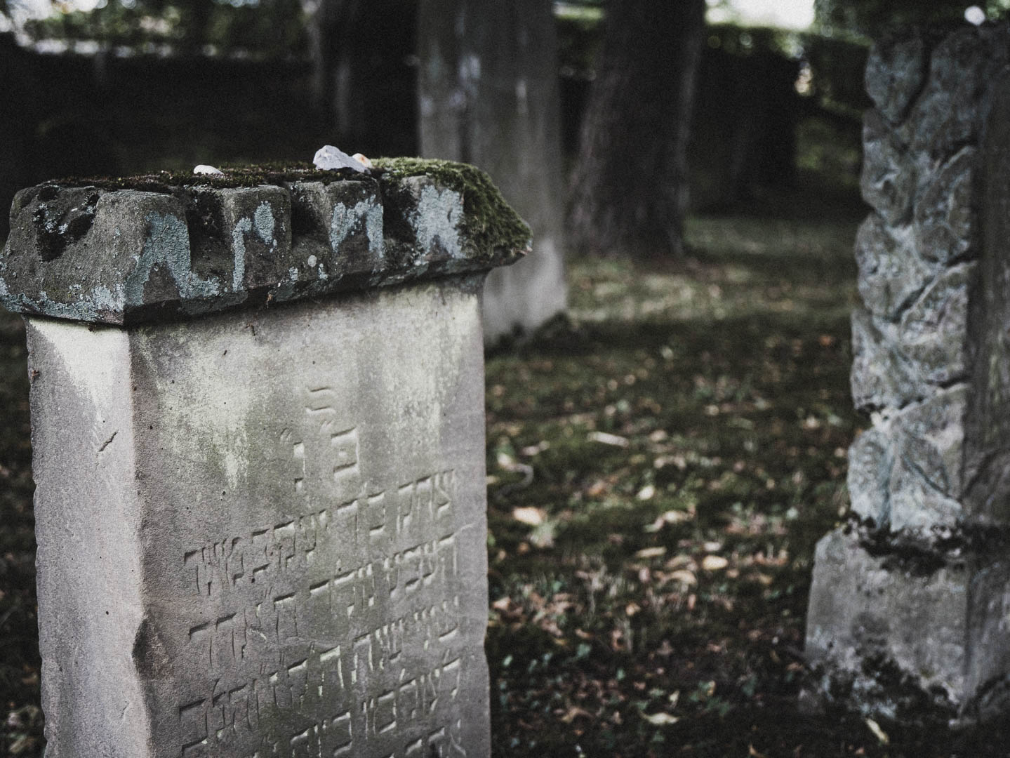 Lichtenau (Westfalen), Jüdischer Friedhof